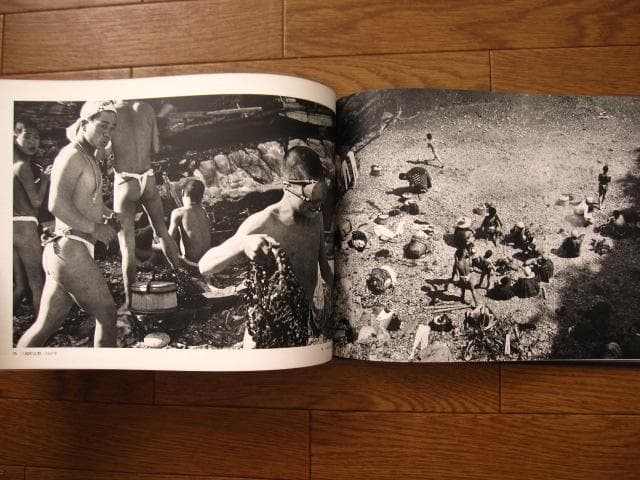 海と太陽の間　佐田岬半島の人々・風土　 新田好