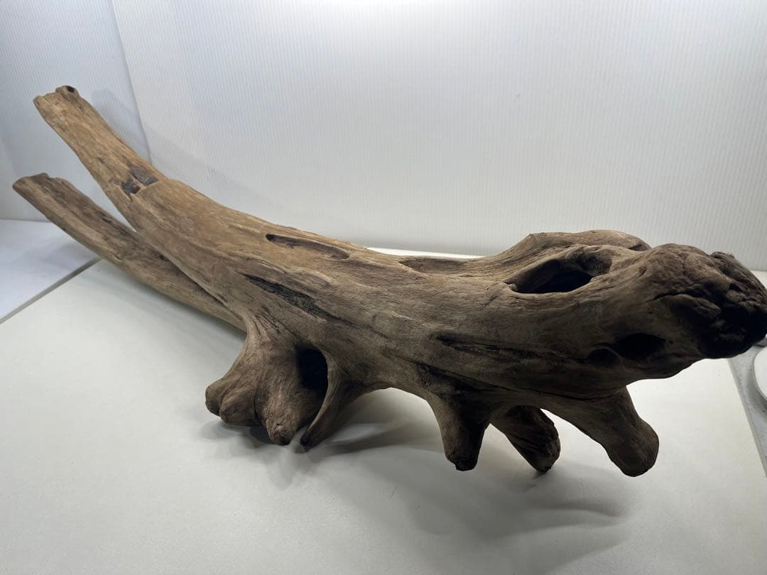 W27特大流木 アク抜き済み流木 爬虫類シェルター 登り木 インテリア 生け花