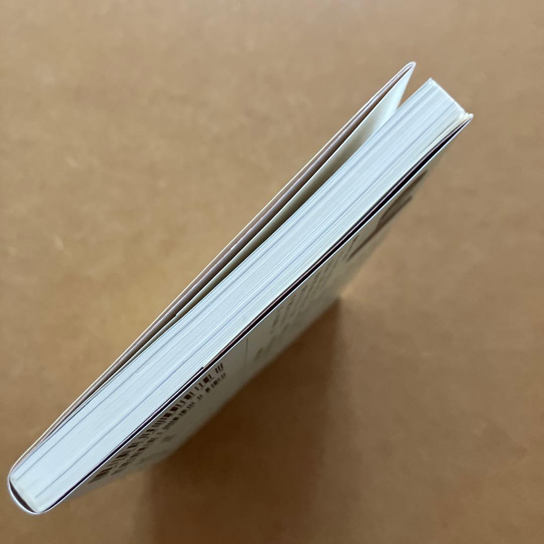 動物化するポストモダン　初版