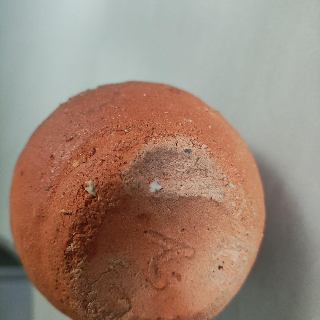 杉本貞光　寺垣外窯　信楽左馬徳利ぐい呑　信楽焼