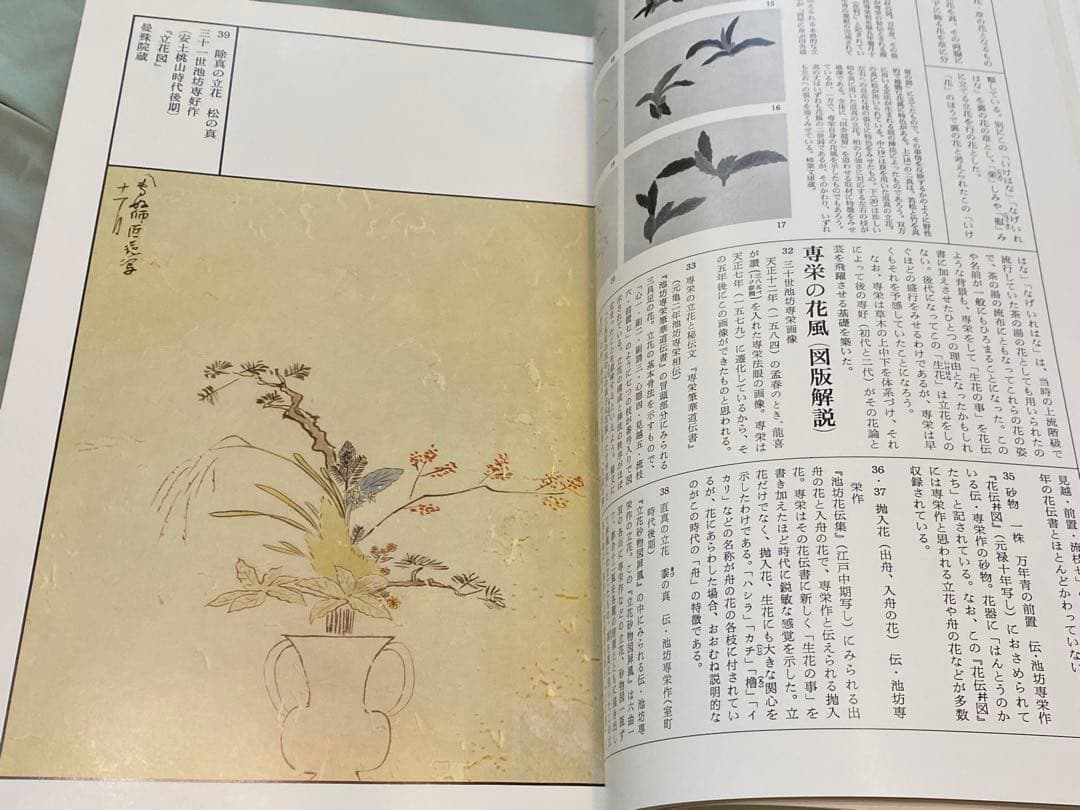 「池坊歴代家元花伝」　華道 池坊　専門書
