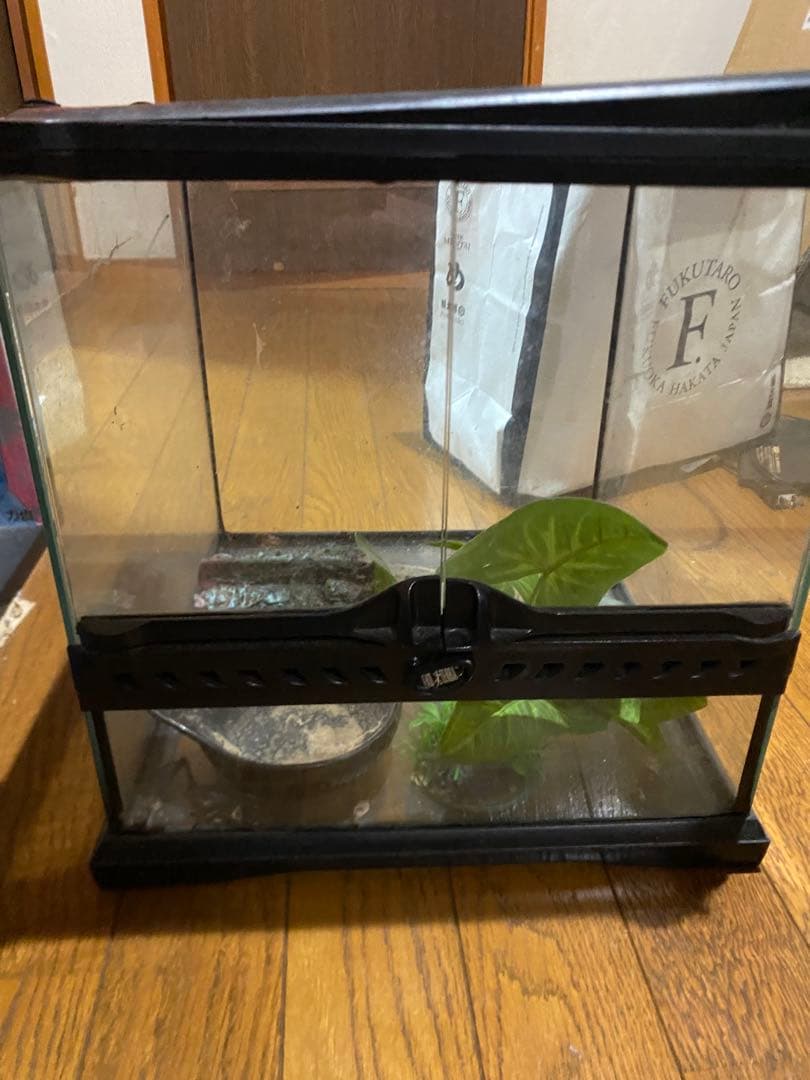 「引取り限定」爬虫類ケージまとめ売り　グラステラリウム アステカキット