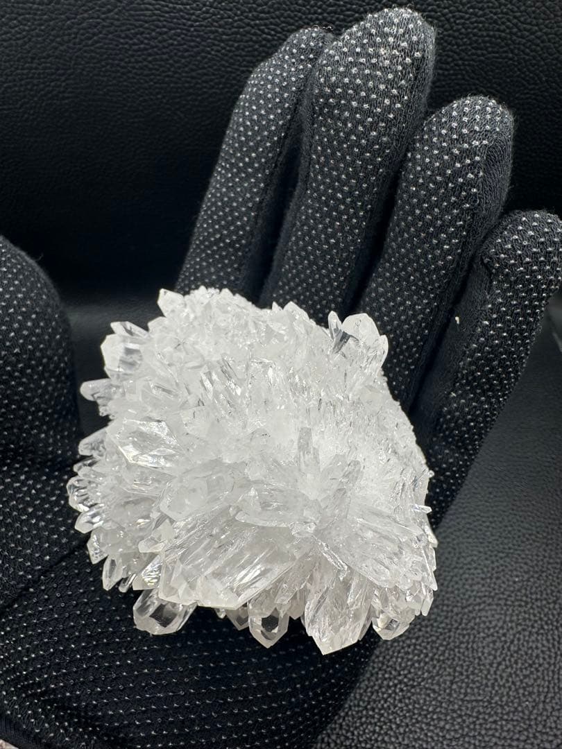 菊花水晶 クラスター 超美品 616