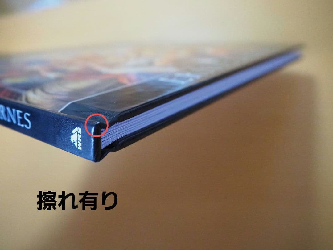 洋書 FROM PADS TO PALETTE / ERNIE BARNES