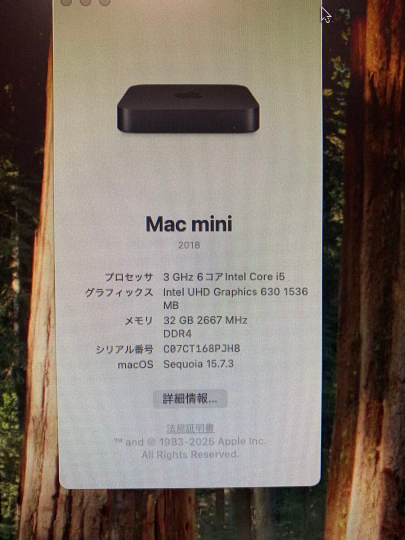 2018 Mac mini i5 メモリ32G SSD512G