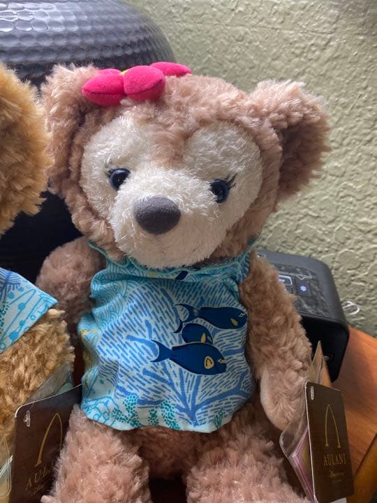 ダッフィ&シェリーメイ⭐️ハワイ❤️ウラニディズニー限定