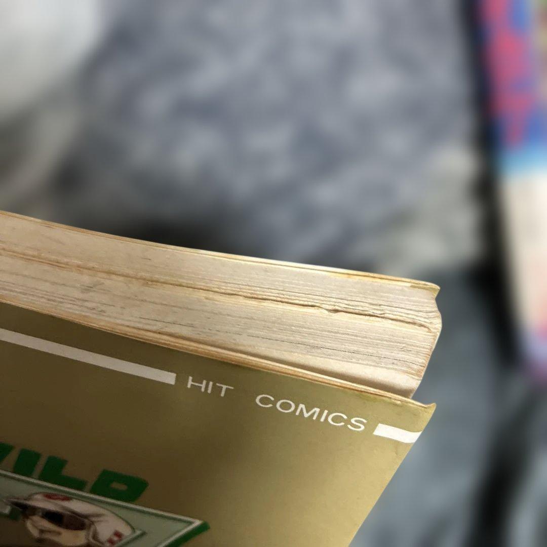 ワイルド7確認用２０巻