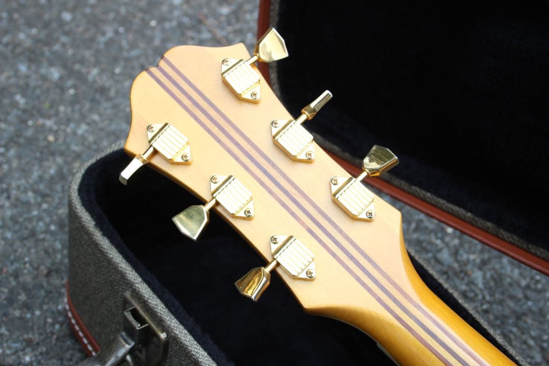 Epiphone Masterbilt Excellente ハードケース付き