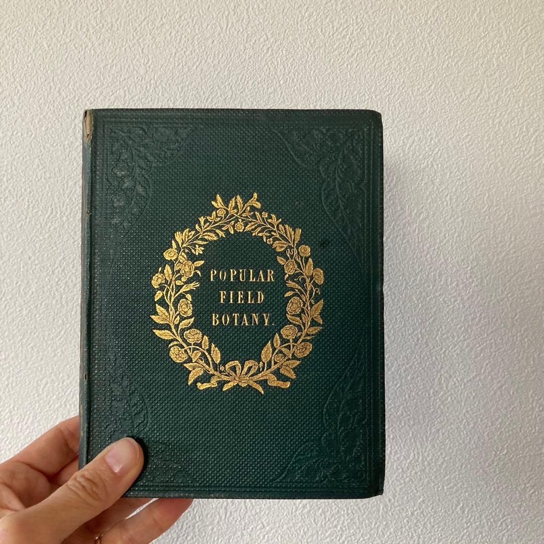 L833洋書古書 【1852年発行】大変希少なイギリスのアンティーク植物図鑑