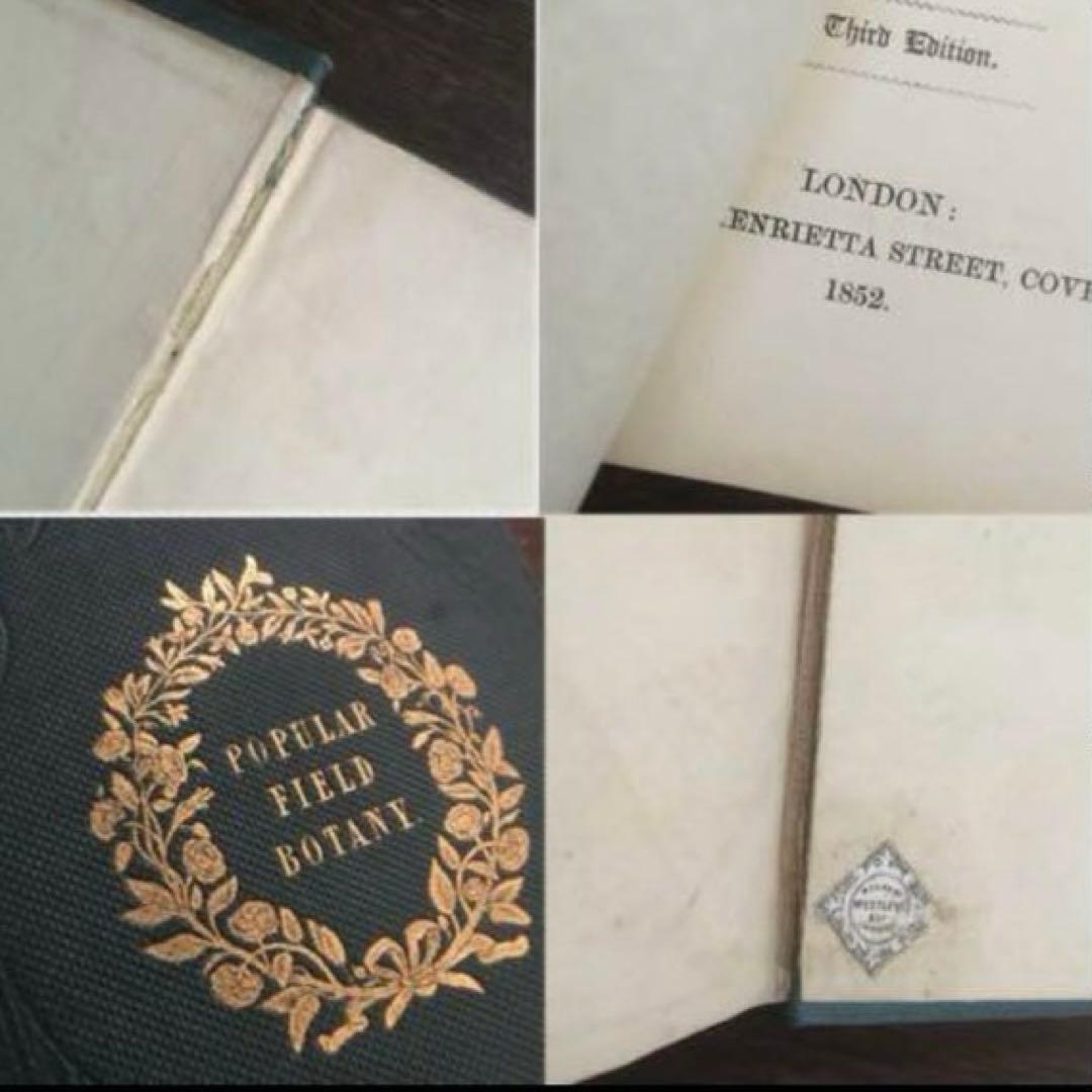 L833洋書古書 【1852年発行】大変希少なイギリスのアンティーク植物図鑑