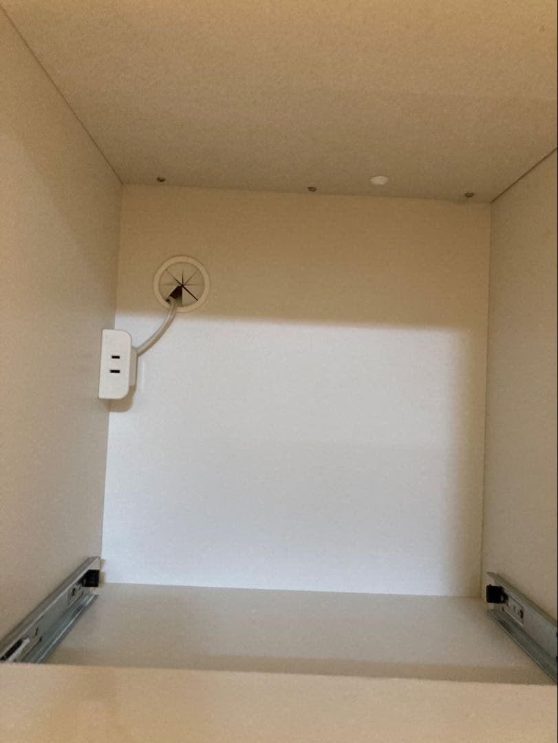 ハリネズミ　12/8まで