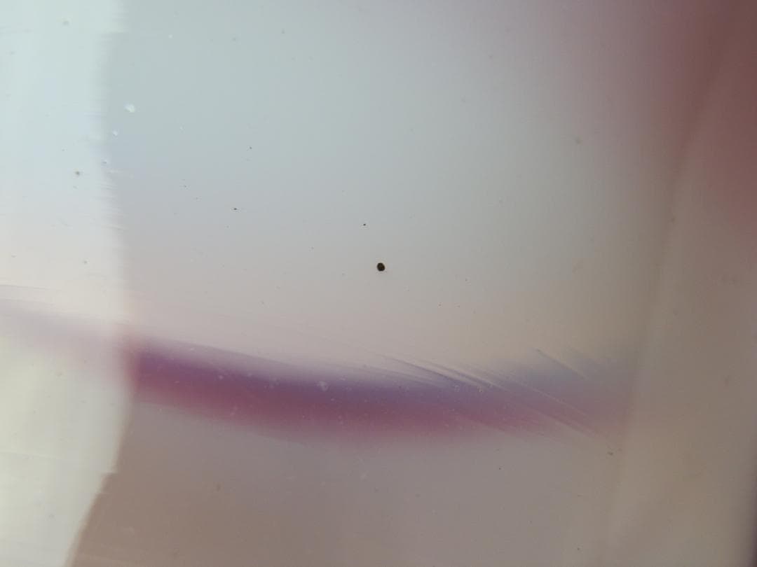 アンティーク 大正期頃 アイスクリームコップ 氷コップ 乳白ガラス 71229