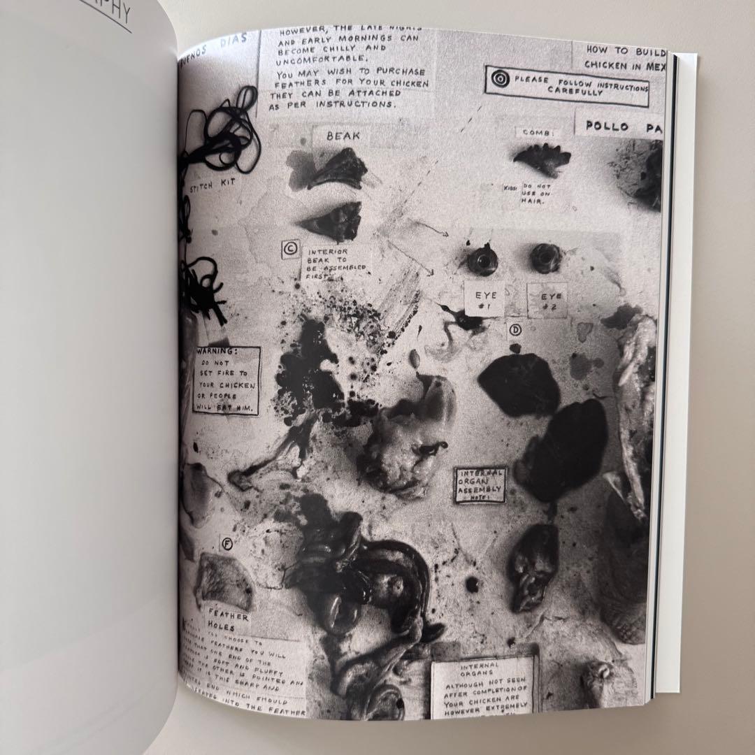 アート・デザイン・音楽 David Lynch Someone is in my House