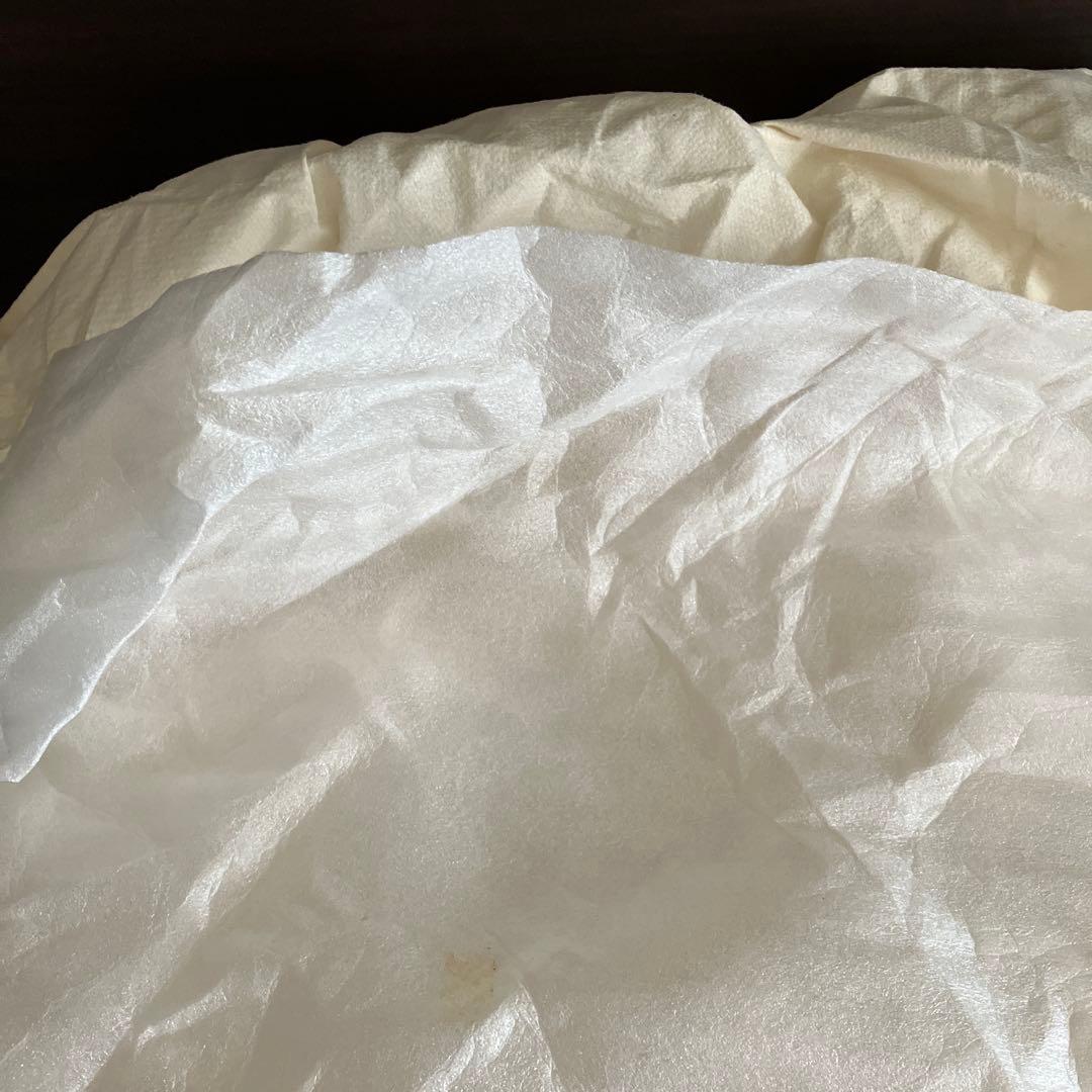 雷鳥　イッタラ　バード　Riekko WillowGrouse 