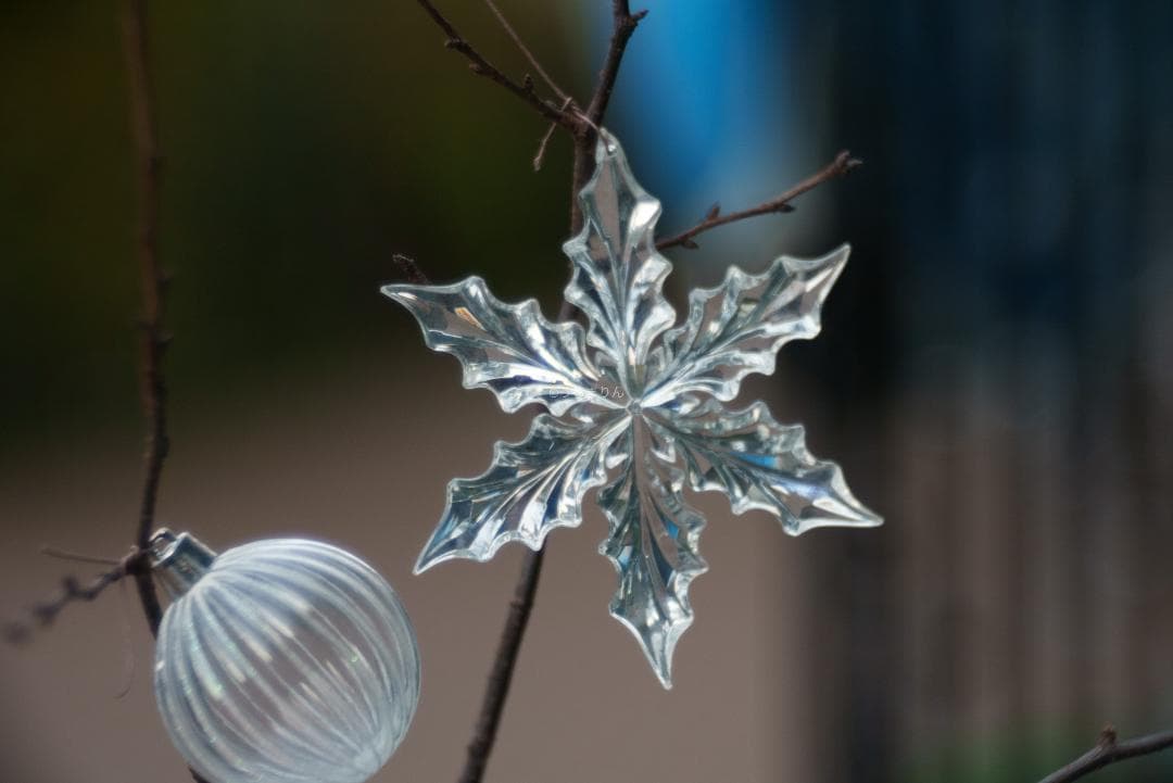 棚卸SALE！Trioplan 100mm F2.8 Leica Mマウント