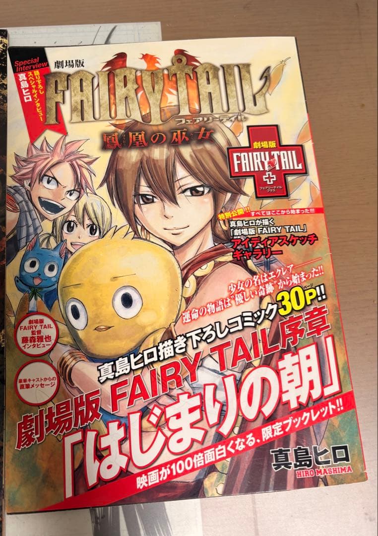 フェアリーテイル全巻＋特装版DVD、パンフレット【値下げコメント可⭕️】