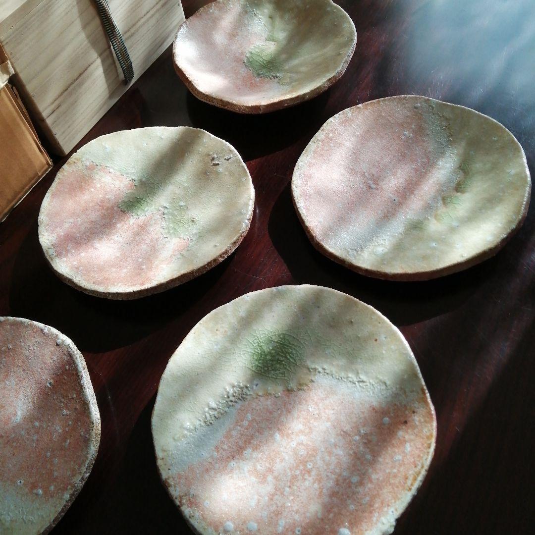 信楽焼　寺垣外窯　杉本貞光　信楽厚手皿　5枚　17cm