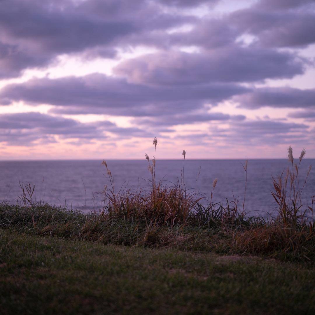 Nikon nikkor z 50mm f1.2/s Zマウント