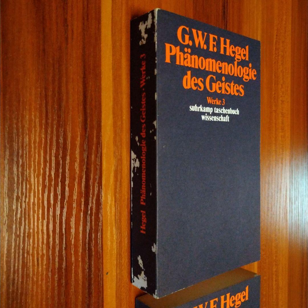 ヘーゲル全集 1-20巻＋別巻21冊セット