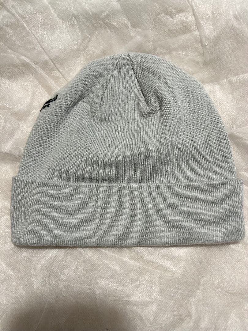 ARC'TERYX Bird Word Toque 正規品