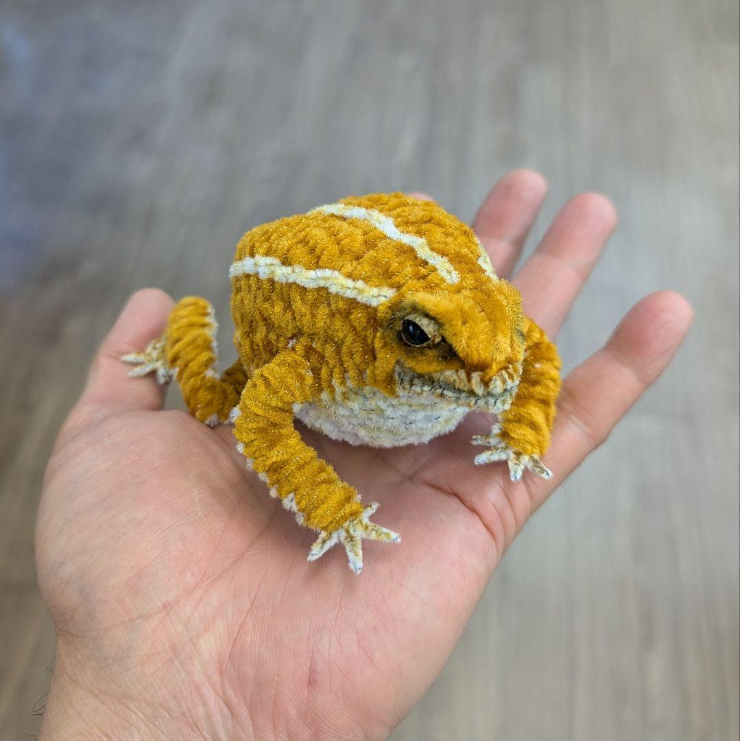 CoCo...オーダー作品モールのレオパ２、アメフクラガエル、ミヤコヒキ