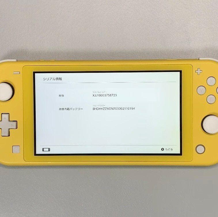Nintendo Switch Lite 本体 動作品