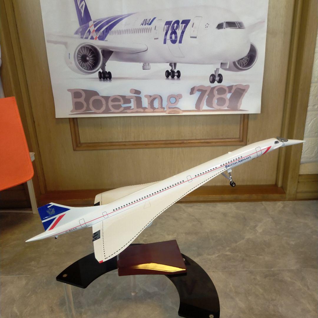 3/15着new! シンガポール52cmCONCORD1/125Big!