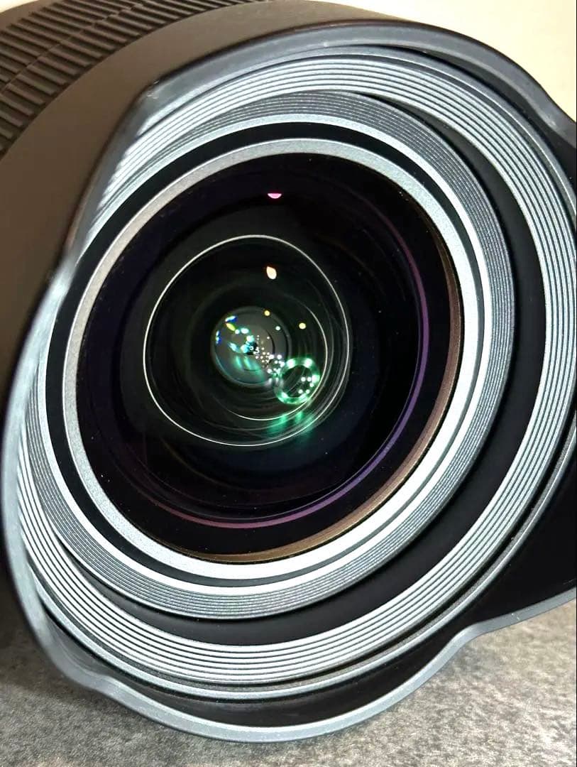 【美品・防湿庫保管】SONY FE 12-24mm F4 G SELP1224G