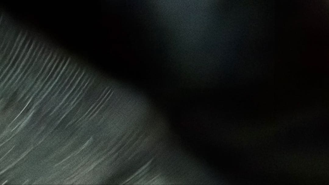 アディダス　バレンシアガ　リュック　美品