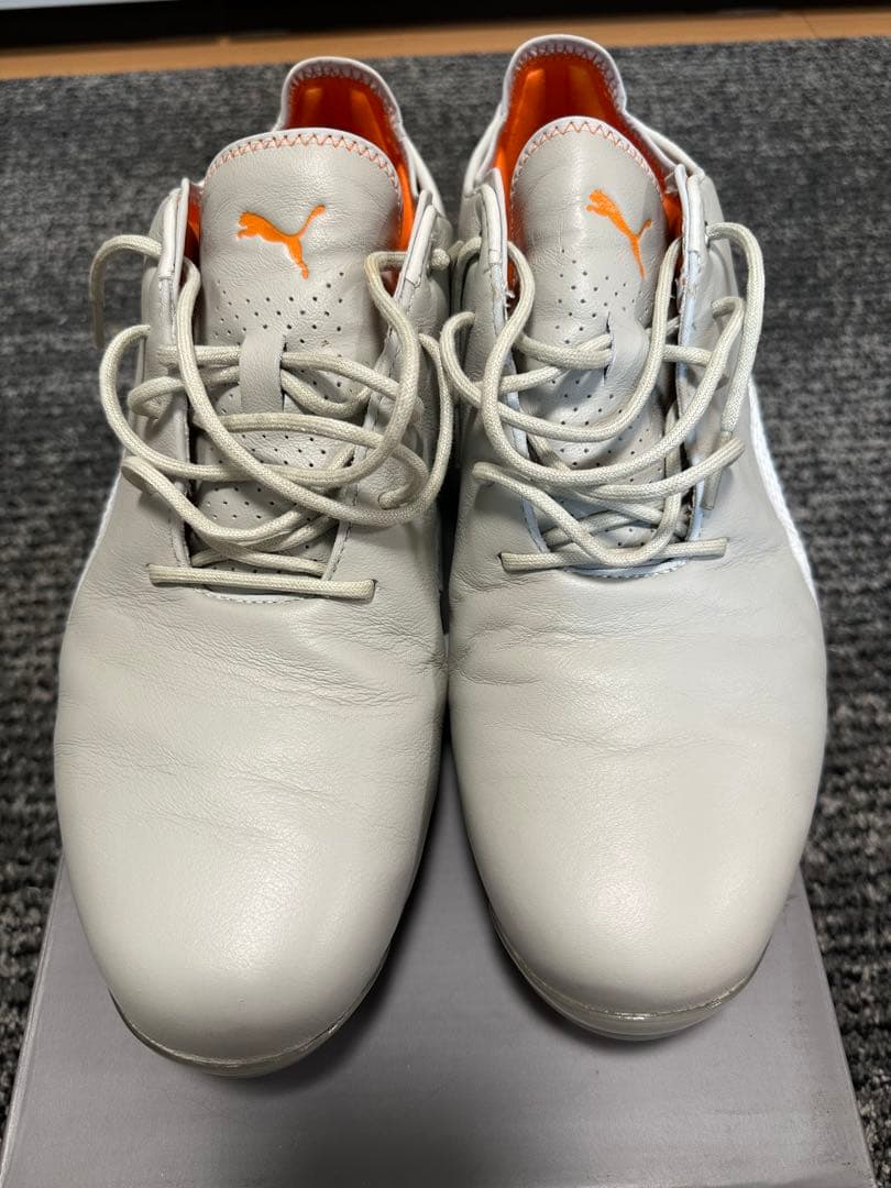 完売モデル　プーマ　イグナイト　Puma IGNITE ゴルフシューズ 28.5