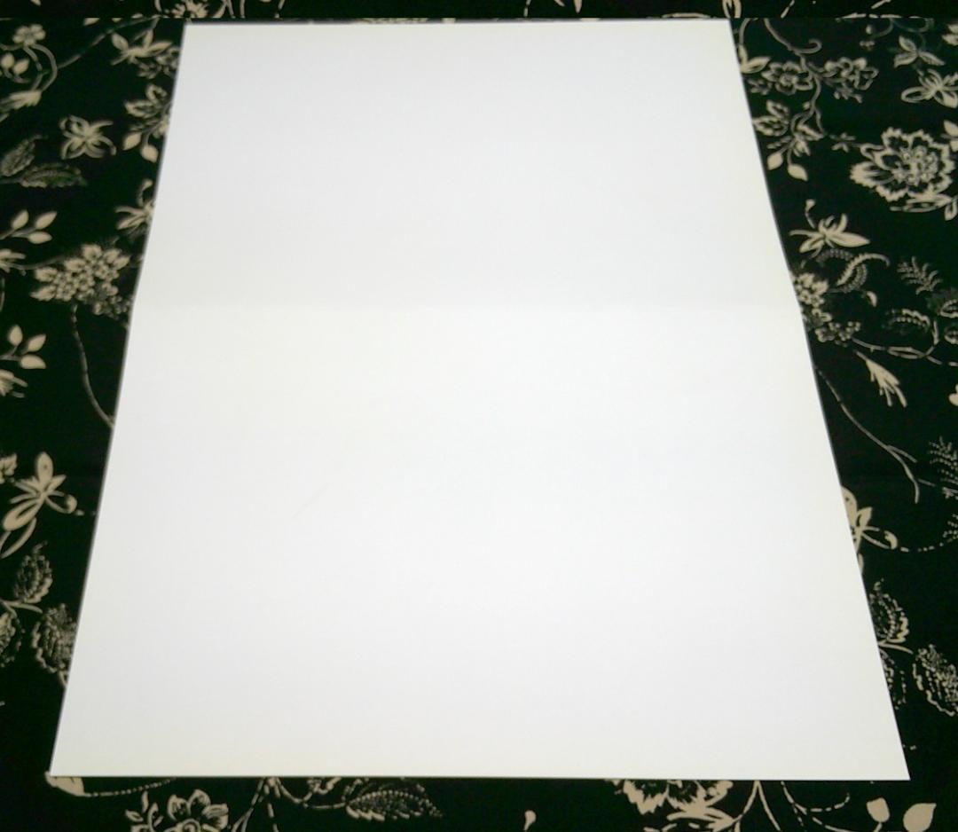 大暮維人 複製原画 アニメイト 特典