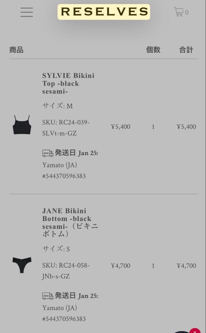 《美品》RESELVES SYLVIE Bikini setup