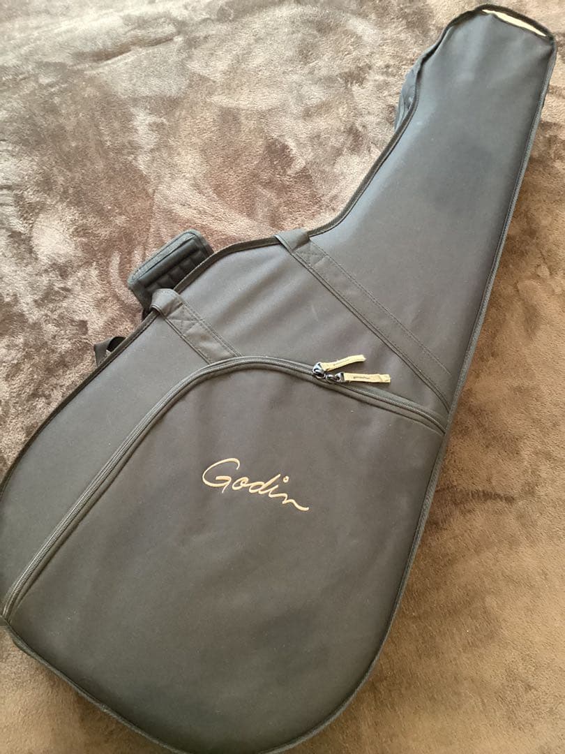最終価格　GODIN ( ゴダン　ギター ) / 5th Avenue カナダ製