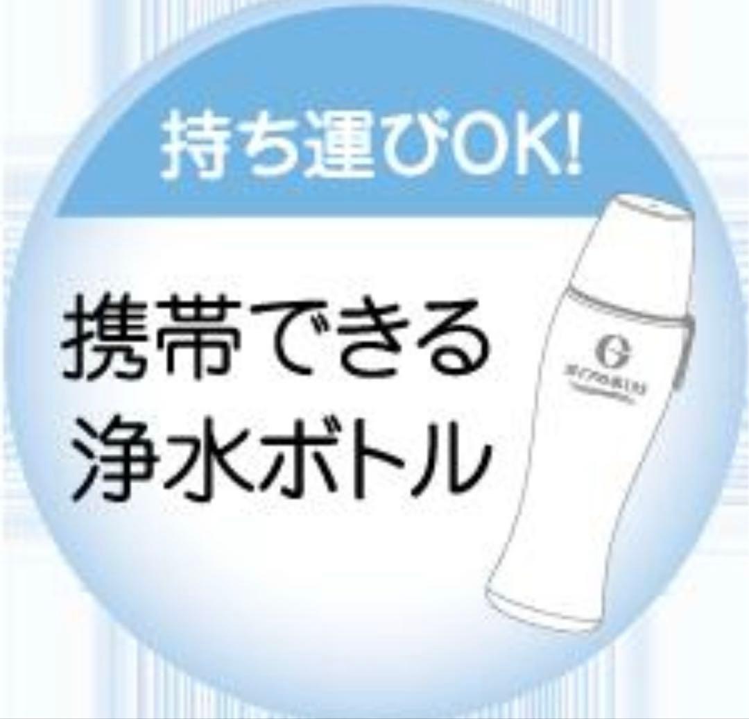 ガイアの水　ポット型浄水器　ライトボトル　セット