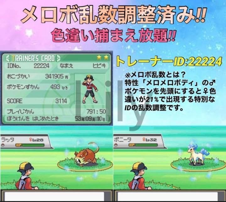 ソウルシルバー　箱　ケース　ポケウォーカー付き