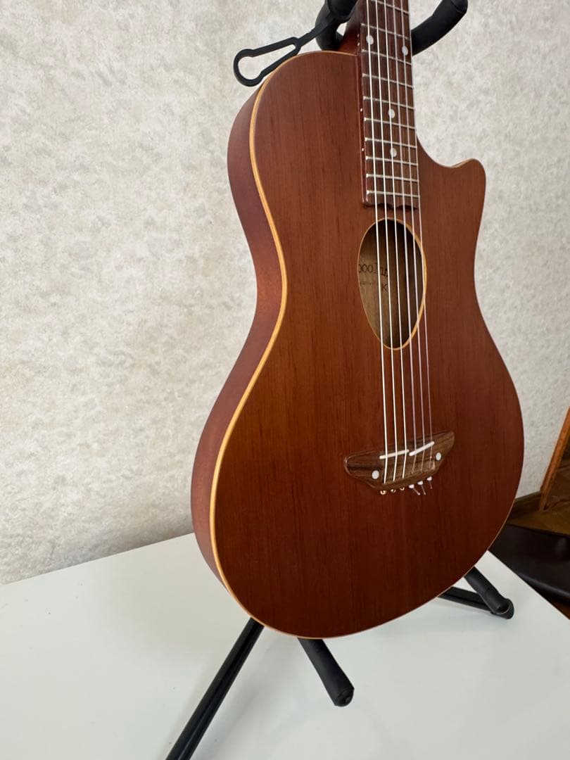 ESP BambooInn-K ナイロン弦タイプcharプロデュース