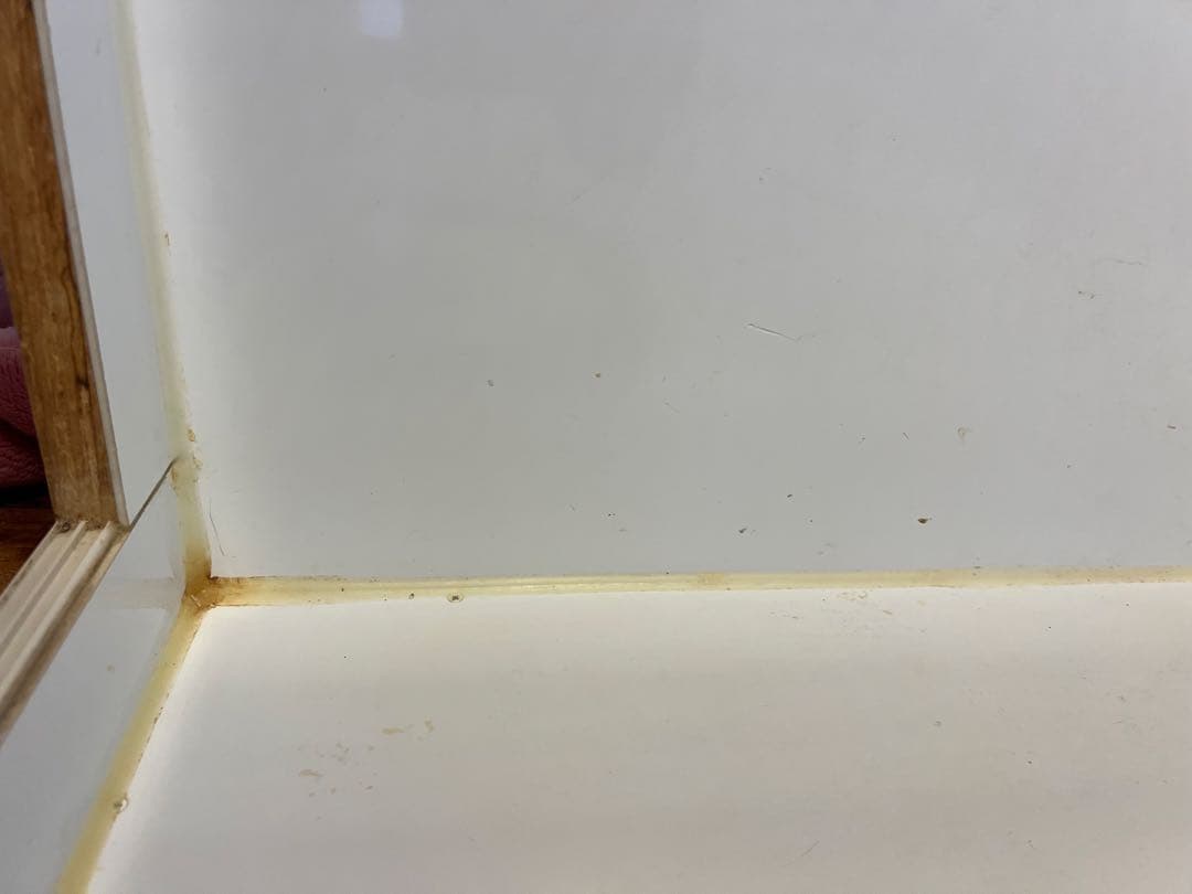 Ageha180センチ大型爬虫類ケージ FandK