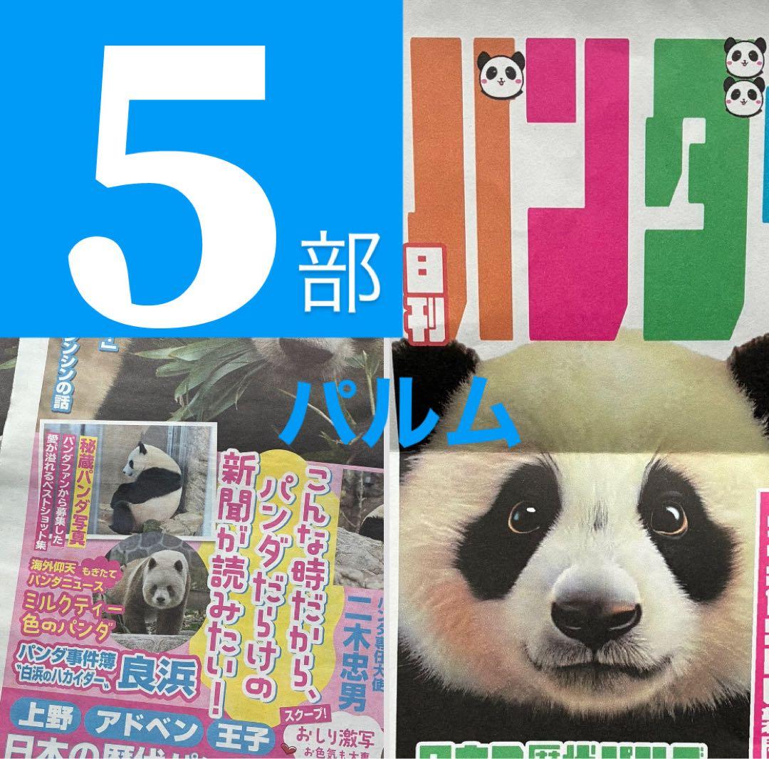 【折らずに梱包】日刊 パンダイ【5部】店頭Pop【1枚】ゲンダイ 新聞