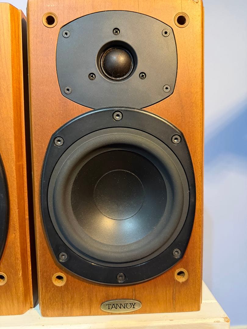 スピーカー・ウーファー zappamanTANNOY revolution r1