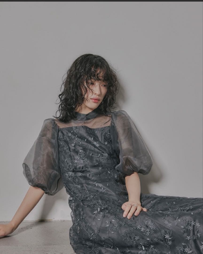 極品‼️niana オーガンジーパフスリーブ刺繍レースオケージョンドレス　Mサイズ