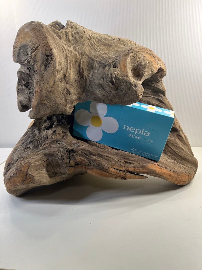 k64大型流木 アク抜き済み 爬虫類シェルター レイアウト用 登り木 インテリア