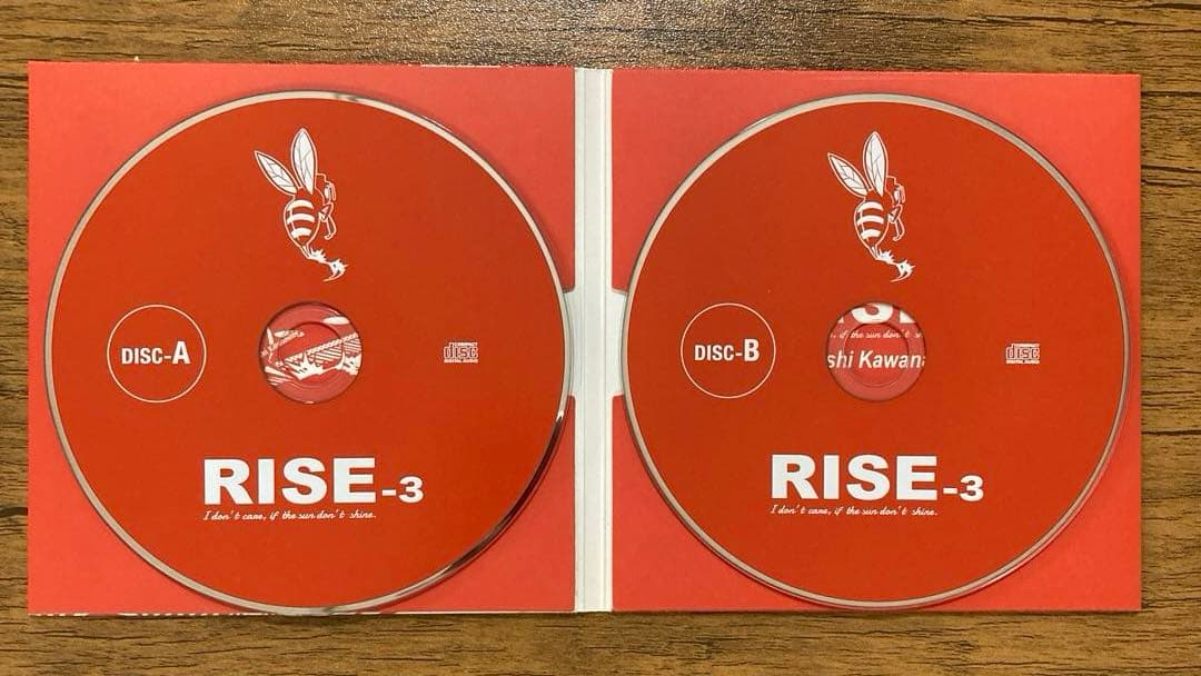 川辺ヒロシ - RISE 1〜3