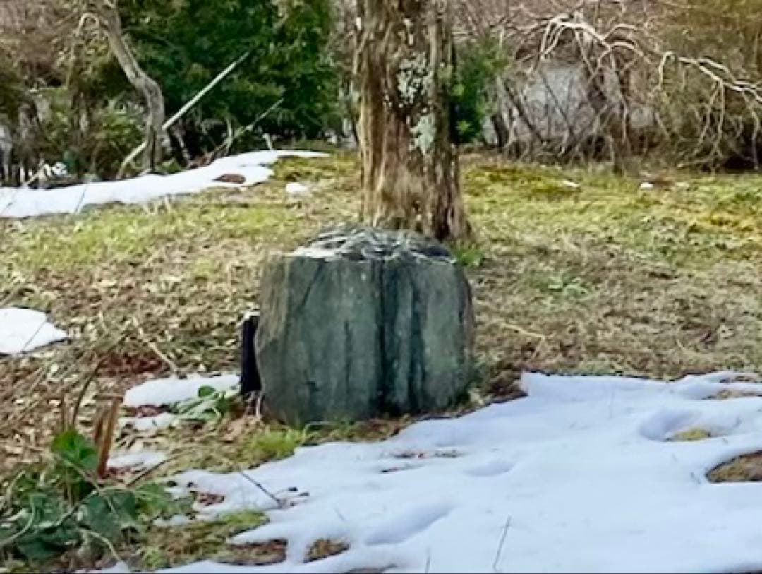 庭石 大 約90×50×45㎝ まとめ割