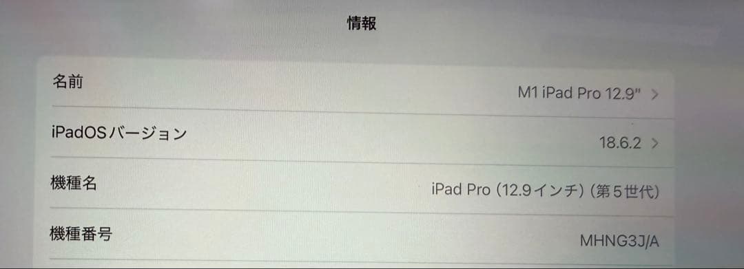 し*ん様 iPad Pro 第5世代12.9インチ Wi-Fiモデル 128