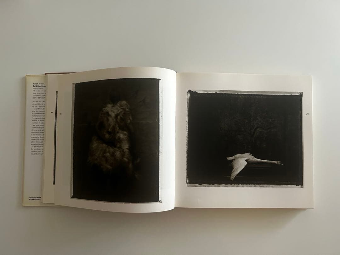 Sarah Moon サラ ・ムーン写真集