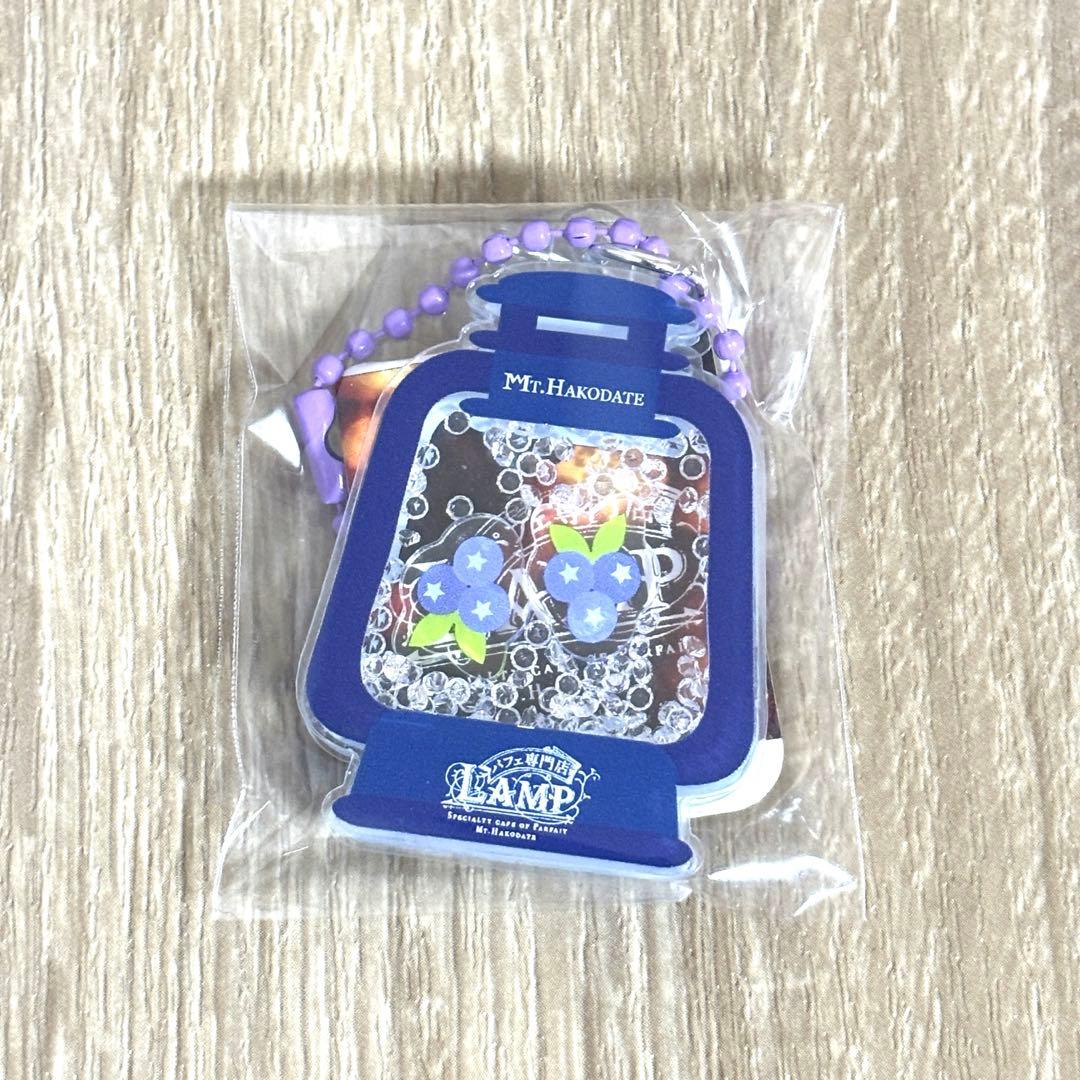 LAMPキーホルダー　箱館山　10種類コンプ　琵琶湖キーホルダー　ZOOM