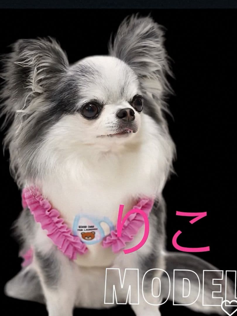 F Laundry BearフリルタンクSS＆マット セットcircusサーカス