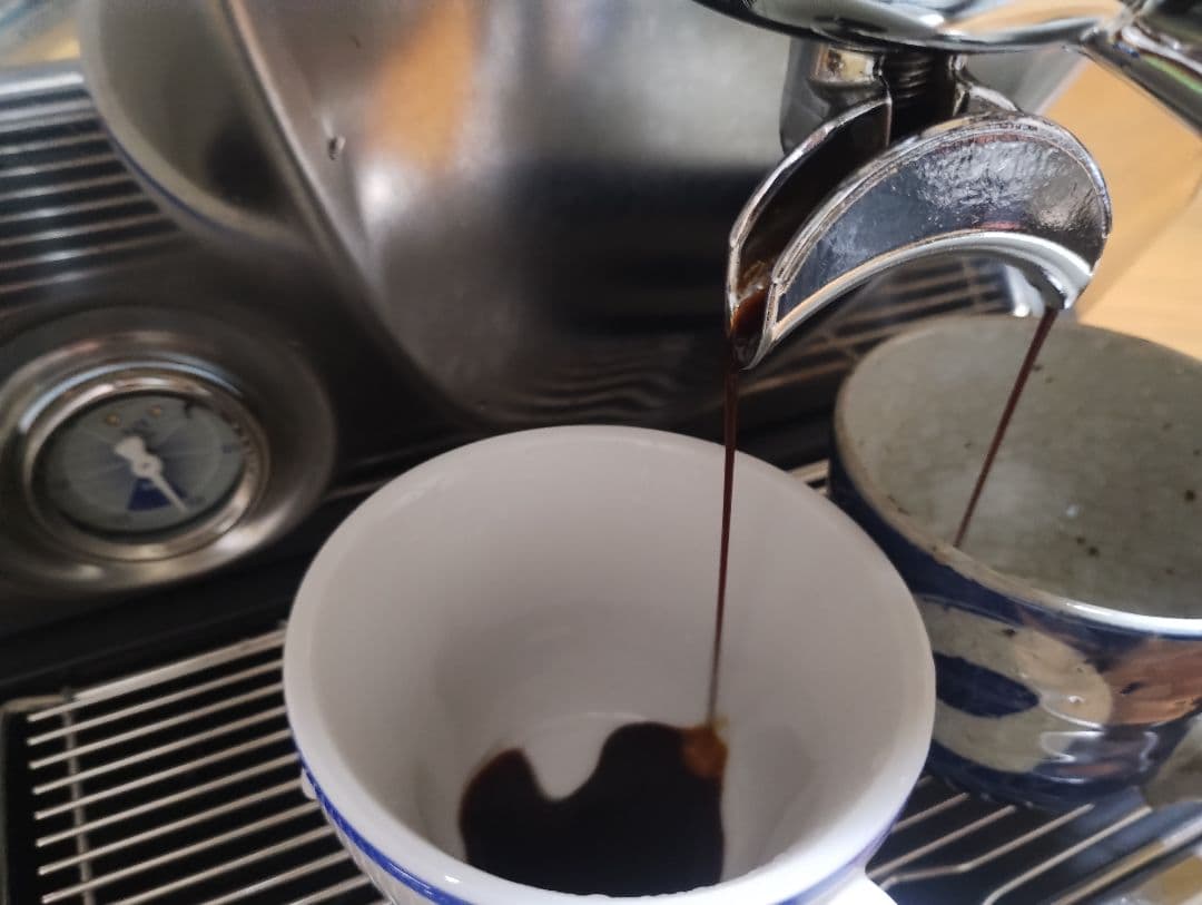 NUOVA SIMONELLI MUSICA ヌォーヴァ シモネリ ムジカ