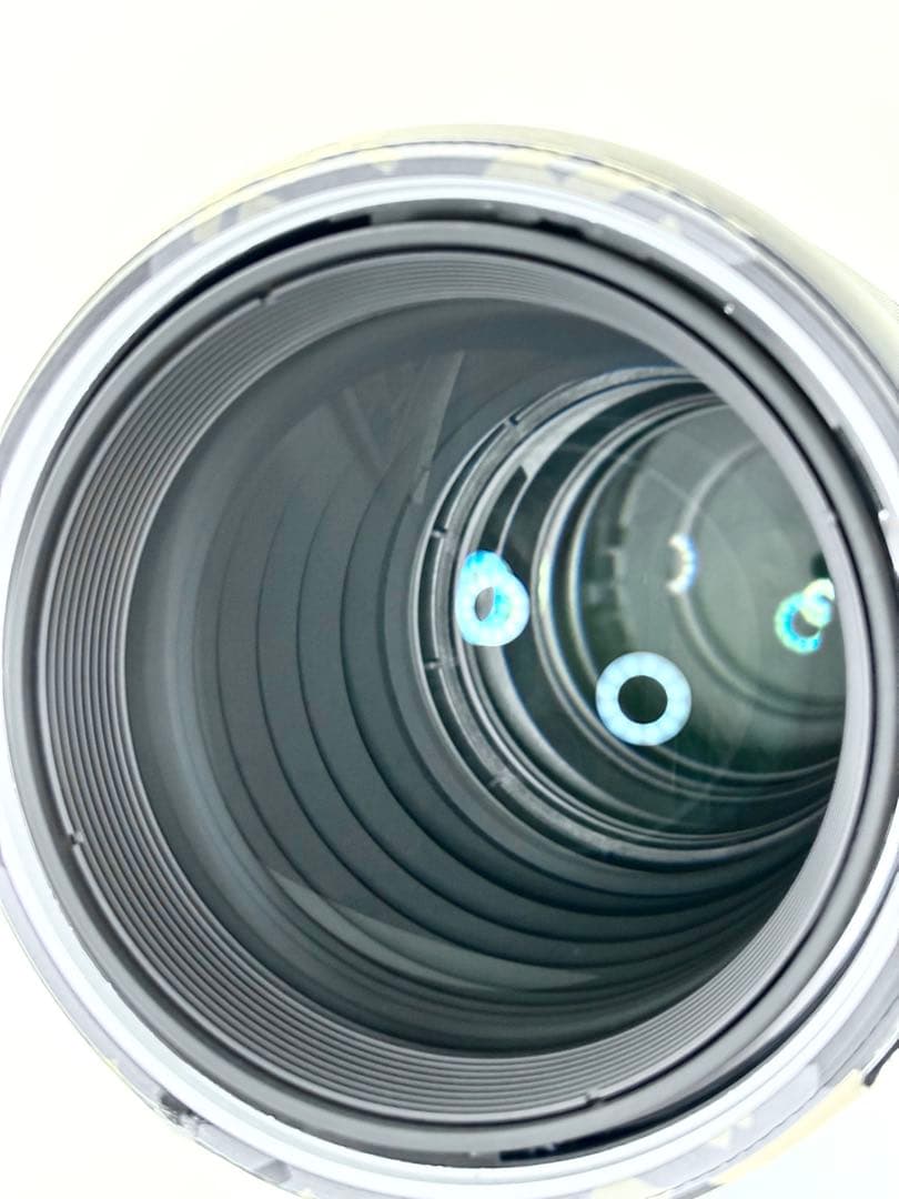 【おまけ付】SONY (ソニー) FE 300mm F2.8 GM OSS