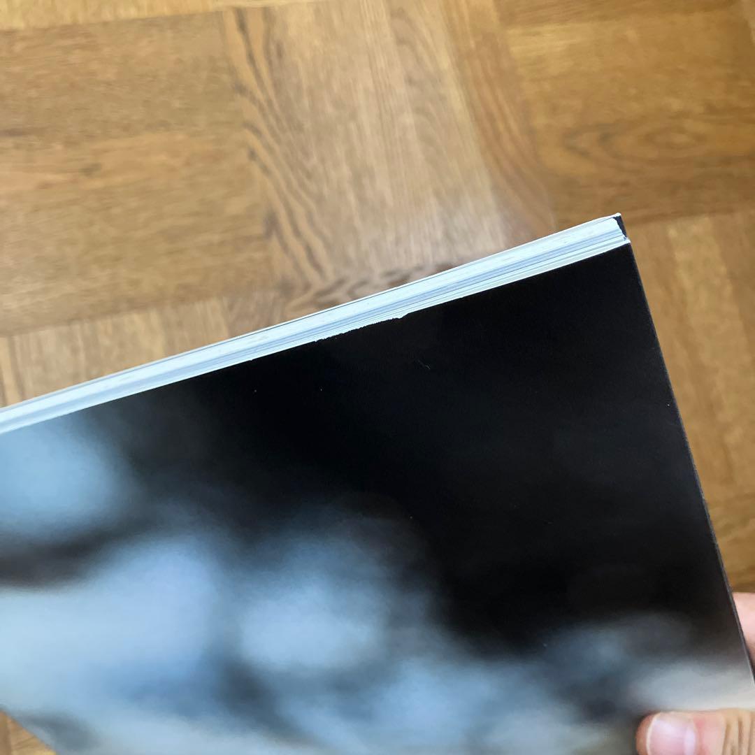 内藤礼　図録2冊セット 「すべて動物は、世界の内に…」 「たくさんのものが…」